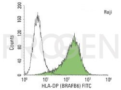 anti-MHC II DP mouse monoclonal, BraFB6, purified
