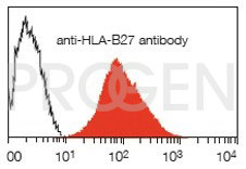 anti-MHC-I-B27 mouse monoclonal, EP-4, purified