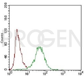 anti-CD22 mouse monoclonal, MYG13, purified